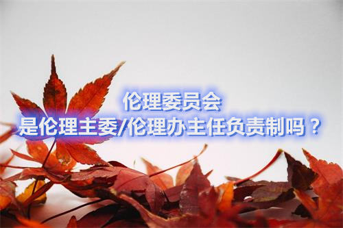 倫理委員會是倫理主委/倫理辦主任負(fù)責(zé)制嗎？(圖1)