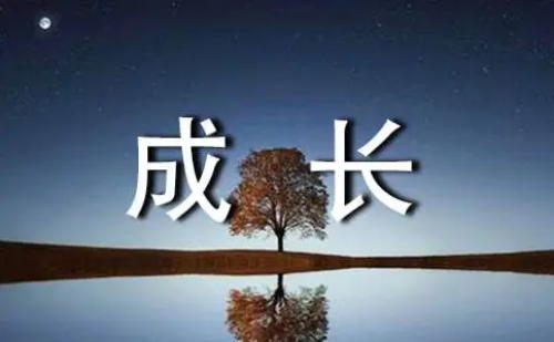 小C成長紀(jì)實|從CRC到LM的成長與蛻變(圖1)