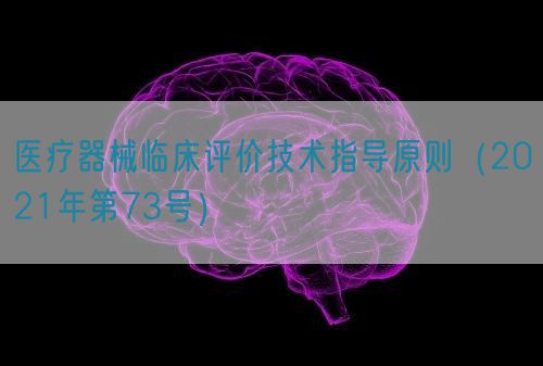 醫療器械臨床評價技術指導原則（2021年第73號）