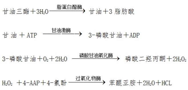 甘油三酯測定試劑盒注冊技術(shù)審查指導(dǎo)原則（2016年第29號）(圖1)