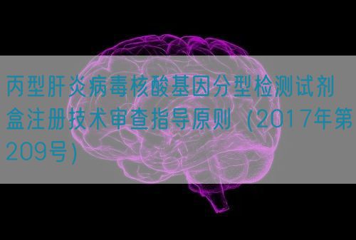 丙型肝炎病毒核酸基因分型檢測試劑盒注冊技術審查指導原則（2017年第209號）(圖1)
