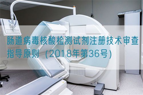 腸道病毒核酸檢測試劑注冊技術(shù)審查指導(dǎo)原則（2018年第36號）(圖1)