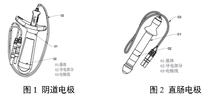 神經(jīng)和肌肉刺激器用體內(nèi)電極注冊審查指導(dǎo)原則（2024年第19號）