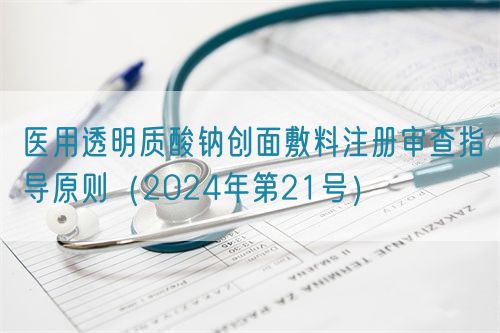 醫(yī)用透明質(zhì)酸鈉創(chuàng)面敷料注冊審查指導(dǎo)原則（2024年第21號）