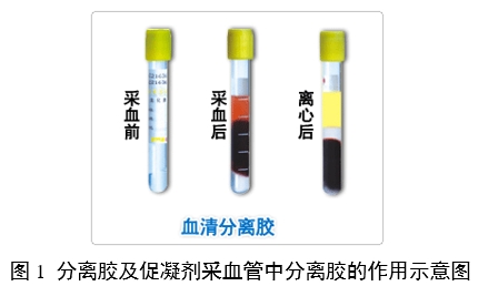 一次性使用真空采血管產品注冊審查指導原則（2024年修訂版）（2024年第21號）(圖4)
