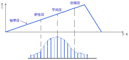 電子血壓計（示波法）注冊審查指導原則（2024年修訂版）（2024年第21號）(圖2)