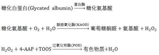 糖化白蛋白測定試劑注冊技術審查指導原則（2020年第14號）(圖3)