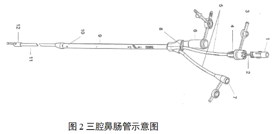 經鼻腸營養(yǎng)導管注冊審查指導原則（2022年第41號）(圖2)