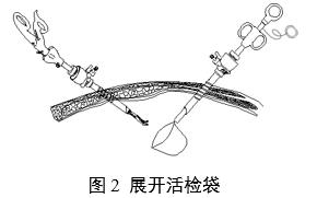 一次性使用內(nèi)窺鏡用活檢袋注冊審查指導原則（2025年第20號）(圖2)