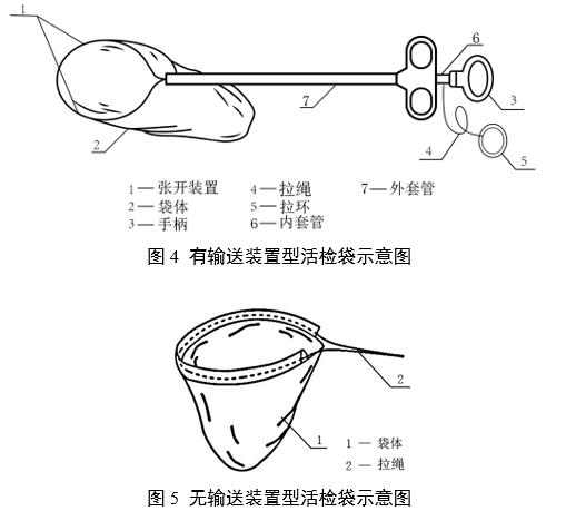 一次性使用內(nèi)窺鏡用活檢袋注冊審查指導原則（2025年第20號）(圖4)