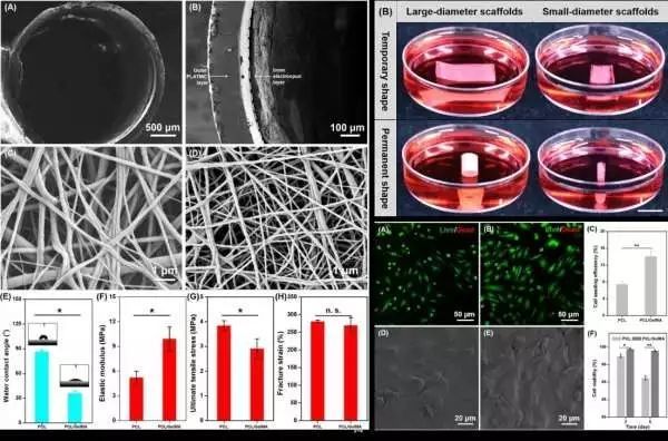 生物相容性是什么？如何準備生物相容性檢測的樣品？(圖2)
