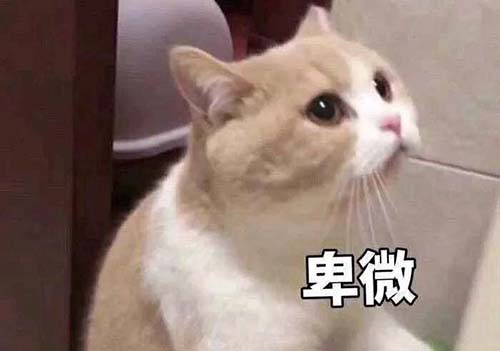 無經驗怎么入行CRA？入行CRA的硬性條件有哪些？(圖3)