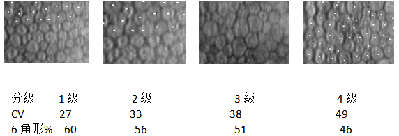 接觸鏡護理產(chǎn)品注冊技術(shù)審查指導(dǎo)原則（食藥監(jiān)辦械函[2011]116號）(圖3)